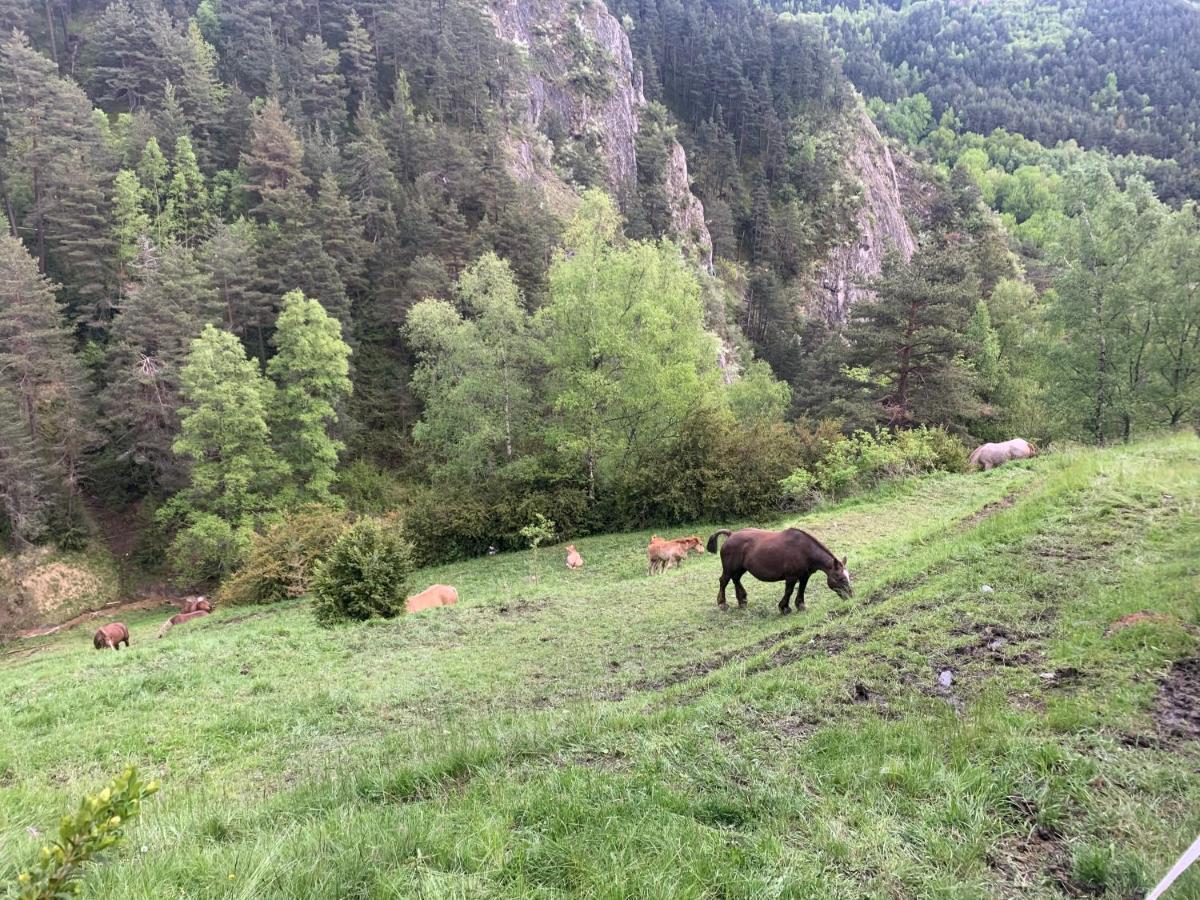 Siscaro - Peu Del Riu 310 - Vall D'Incles - Soldeu Daire Dış mekan fotoğraf