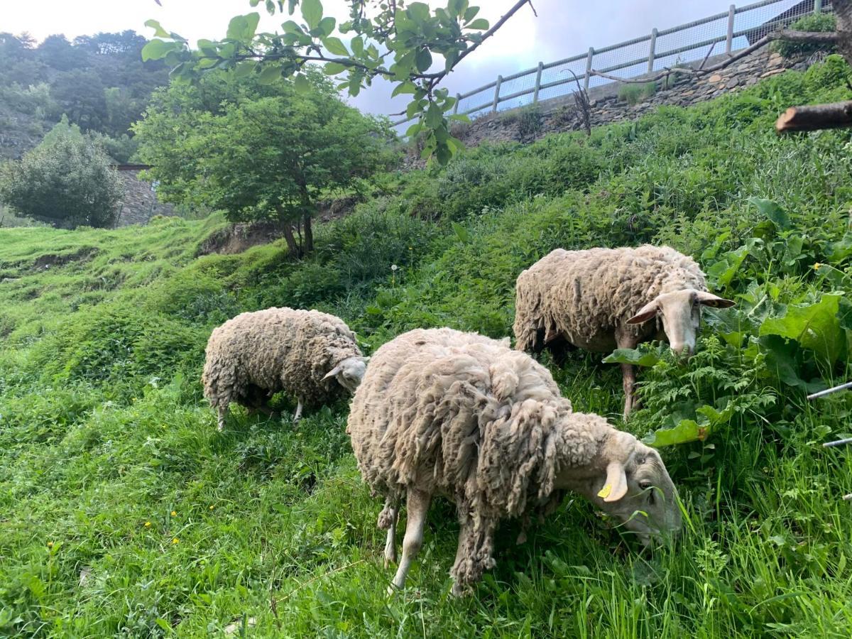 Siscaro - Peu Del Riu 310 - Vall D'Incles - Soldeu Daire Dış mekan fotoğraf